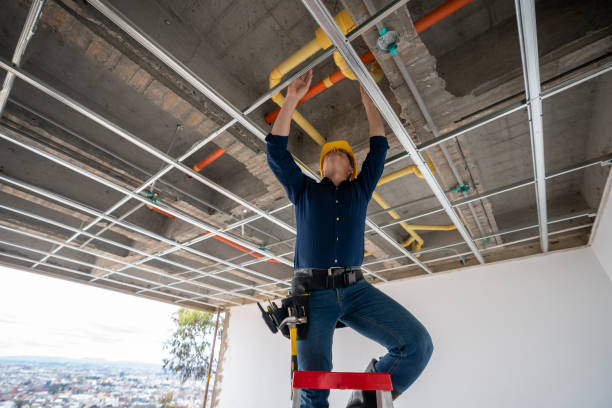Best Leak Detection Services  in Arnold, MO