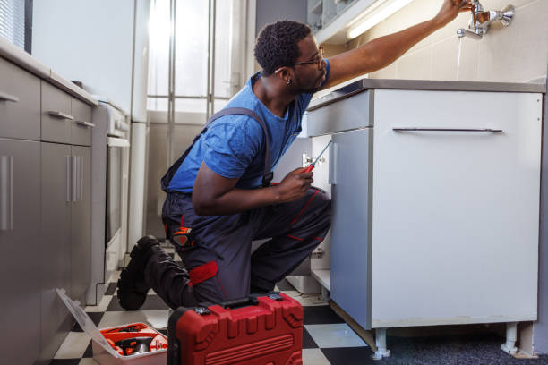 Best Plumbing Services Near Me  in Arnold, MO