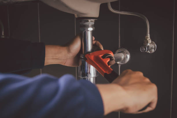 Best Local Plumber Services  in Arnold, MO